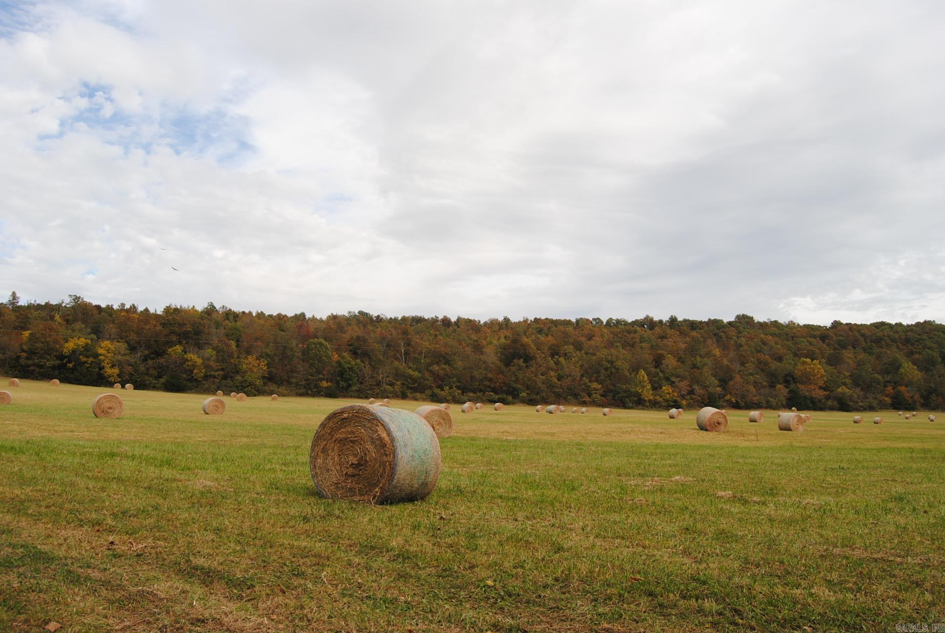 Not in Subdivision - Farm