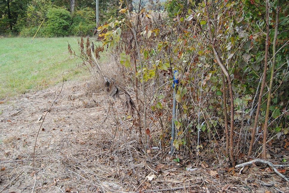 Not in Subdivision - Farm