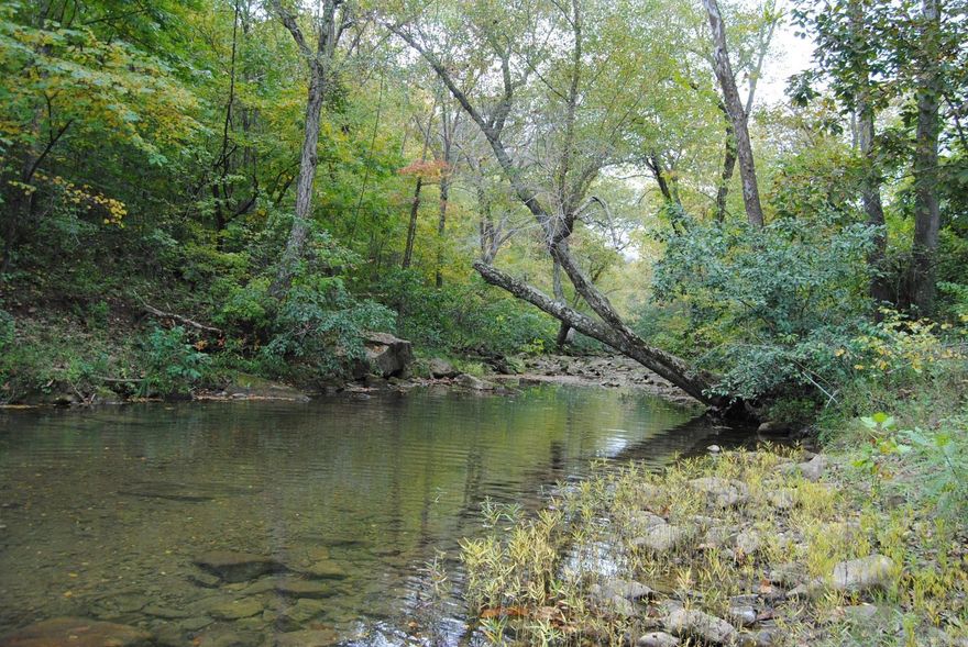 418 AC. FARM, CREEK, HAY FIELDS, 6800 SQ. FT BARN, WITH WATER AND ELECTRIC AT BARN, LIVING QUARTERS AT BARN AT ONE TIME. OFFICE, KITCHEN, NEW SURVEY, FENCED, TIMBER, RIGHT OFF OF A PAVED RD. 3,000 WATER HOLDING TANK TO CLEAN OUT THE MILK BARN, ALL CONCRETE FLOORS, RED IRON, HAS NICE VIEWS WHEN CLEANED UP. FLAT BOTTOM HAY FIELDS, HAS PRODUCED 800 ROUND BALE OF HAY, THERE IS FRUITS TREES, PONDS, EXCELLENT HUNTING LAND, OLD HOME SITES ON PROPERTY, DEER PLOTS, 2 DRILLED WELL, BARN INSULATED, PRICED TO SELL!
