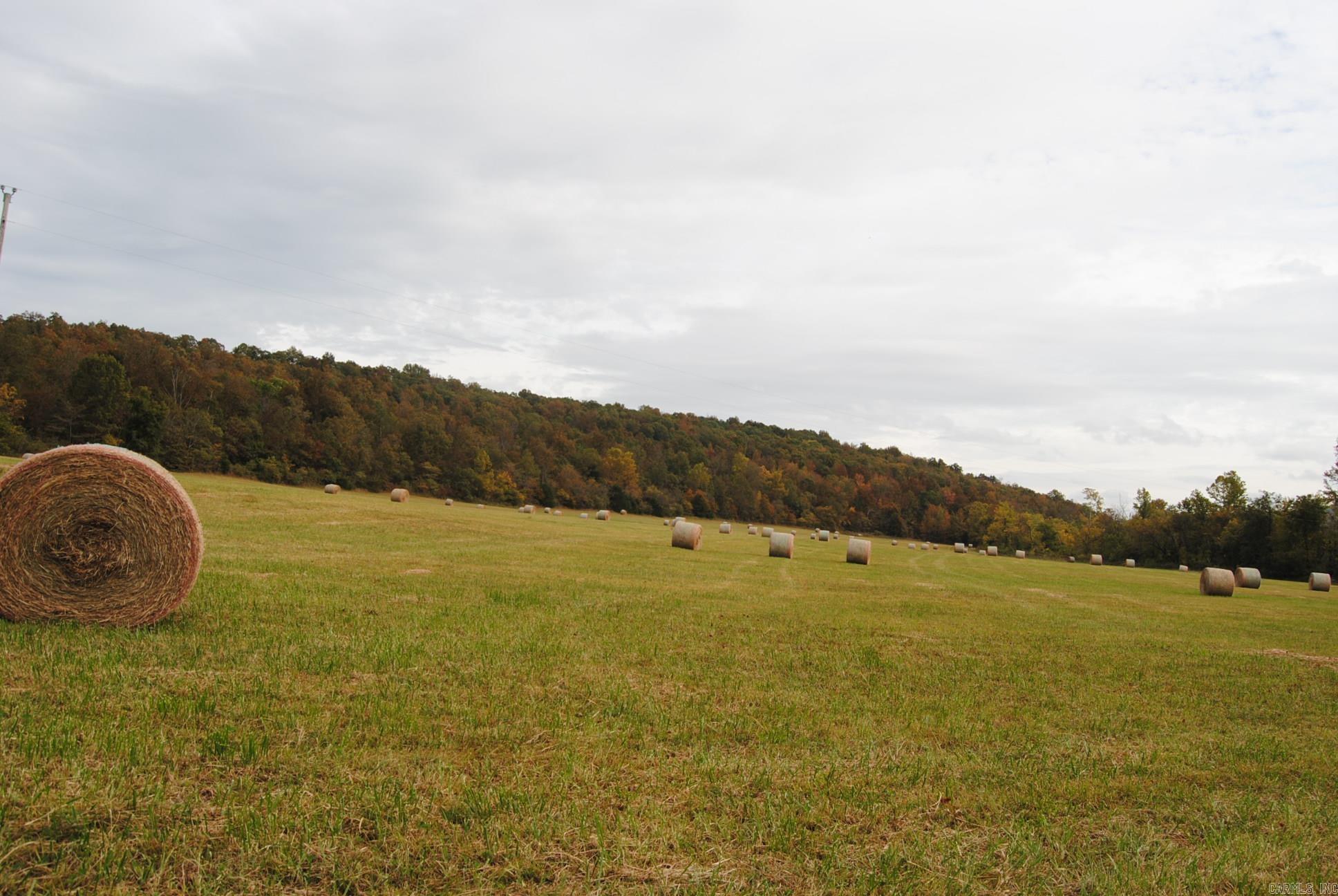 Not in Subdivision - Farm