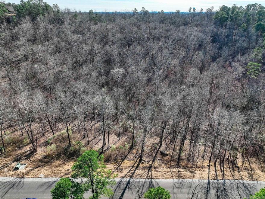 Large estate size lots in convenient location just outside of town. Conway Corp utilities, natural gas, Beaverfork Water, septic, use any builder, no timeline restrictions, Covenants and Restrictions. 2700sf building minimum.