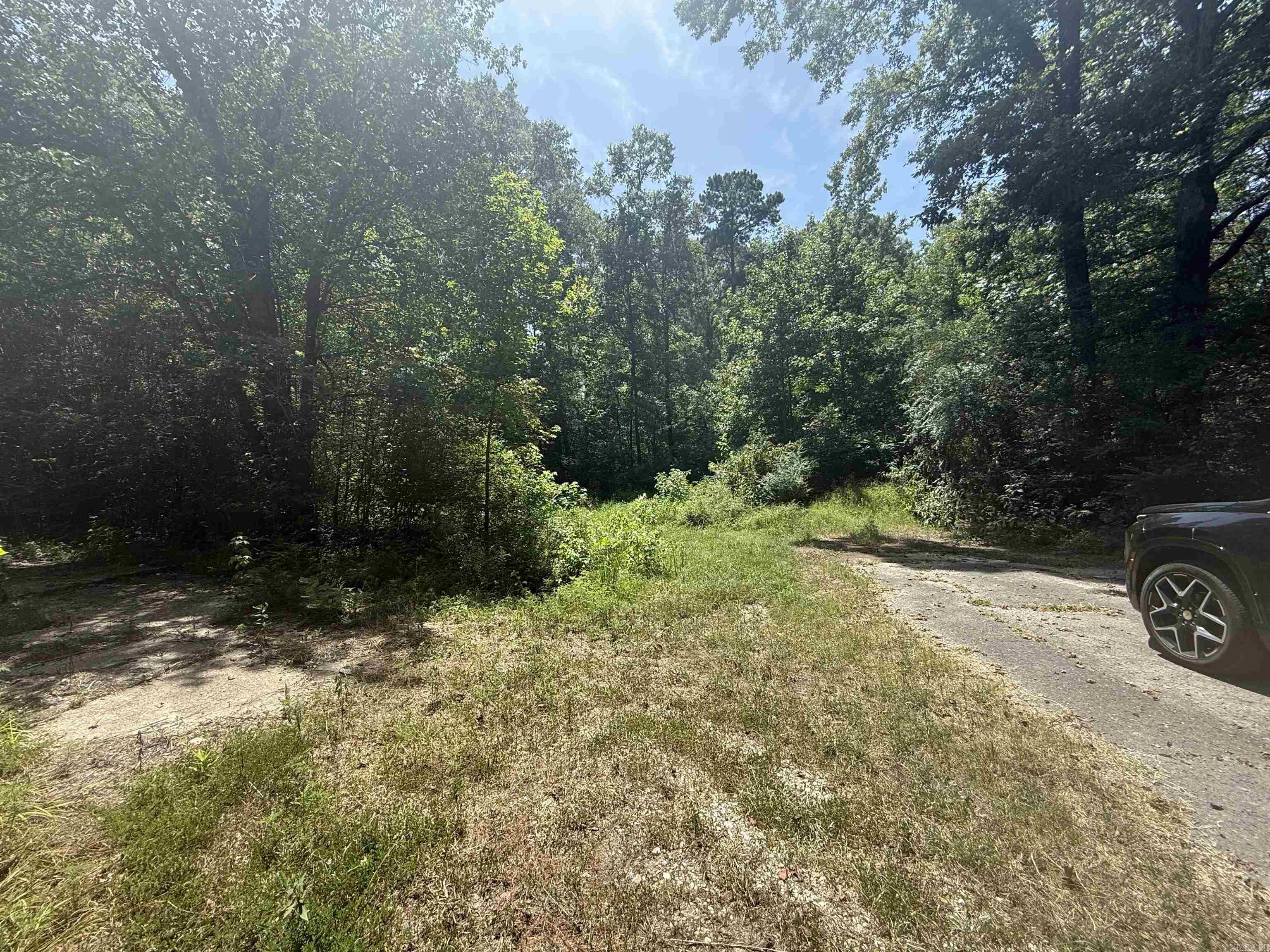 Avondale Heights - Land