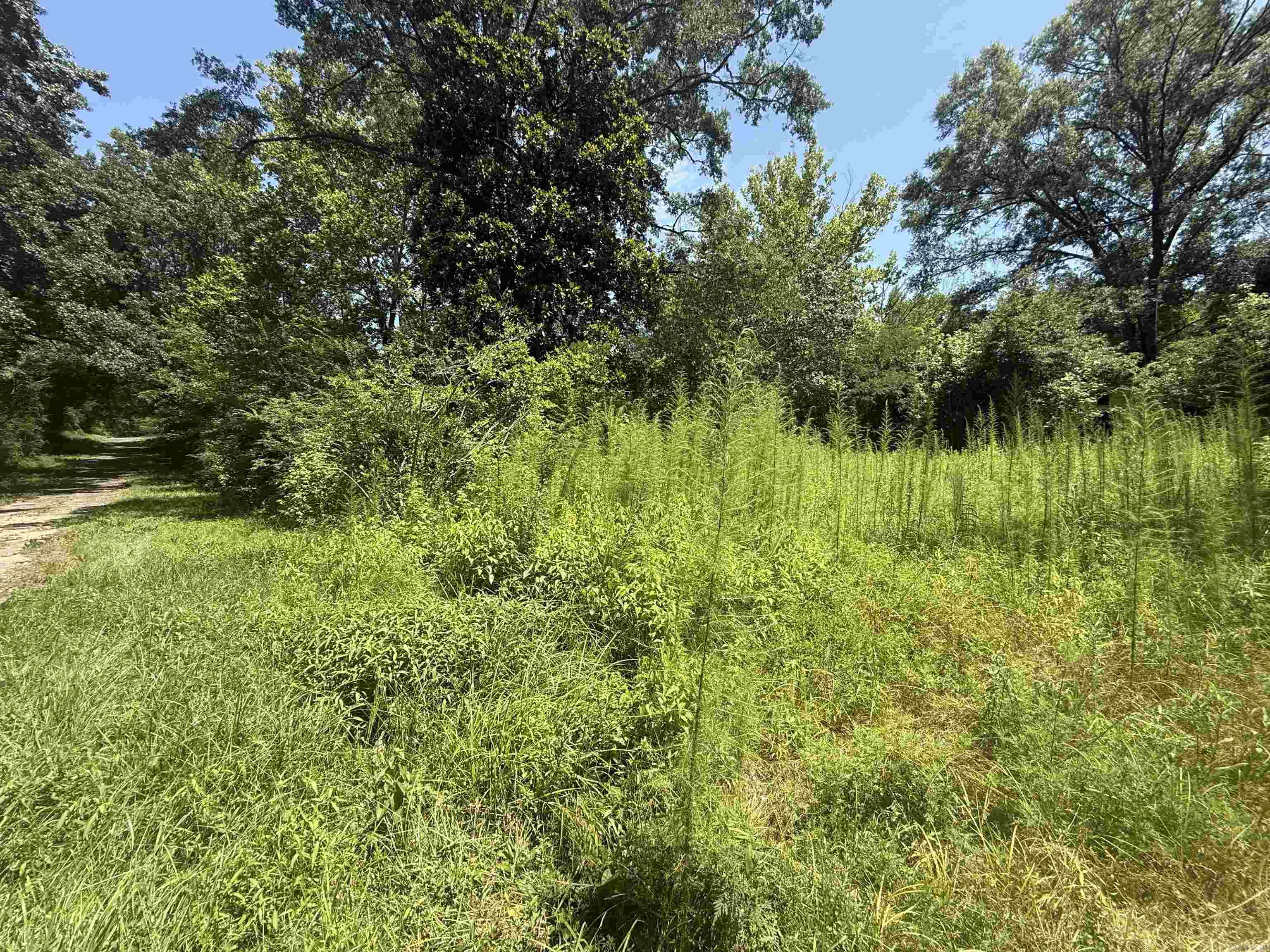 Avondale Heights - Land