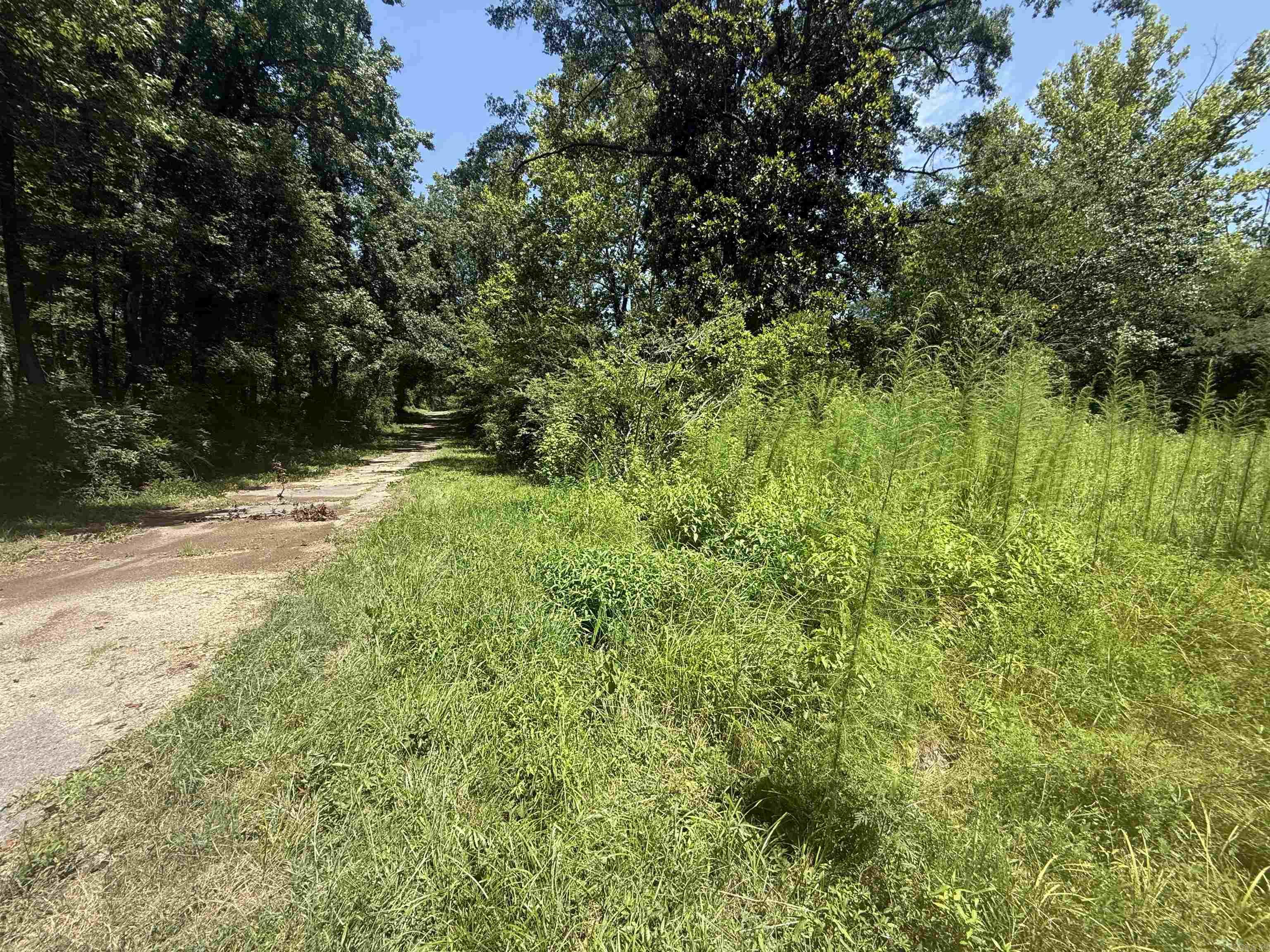 Avondale Heights - Land