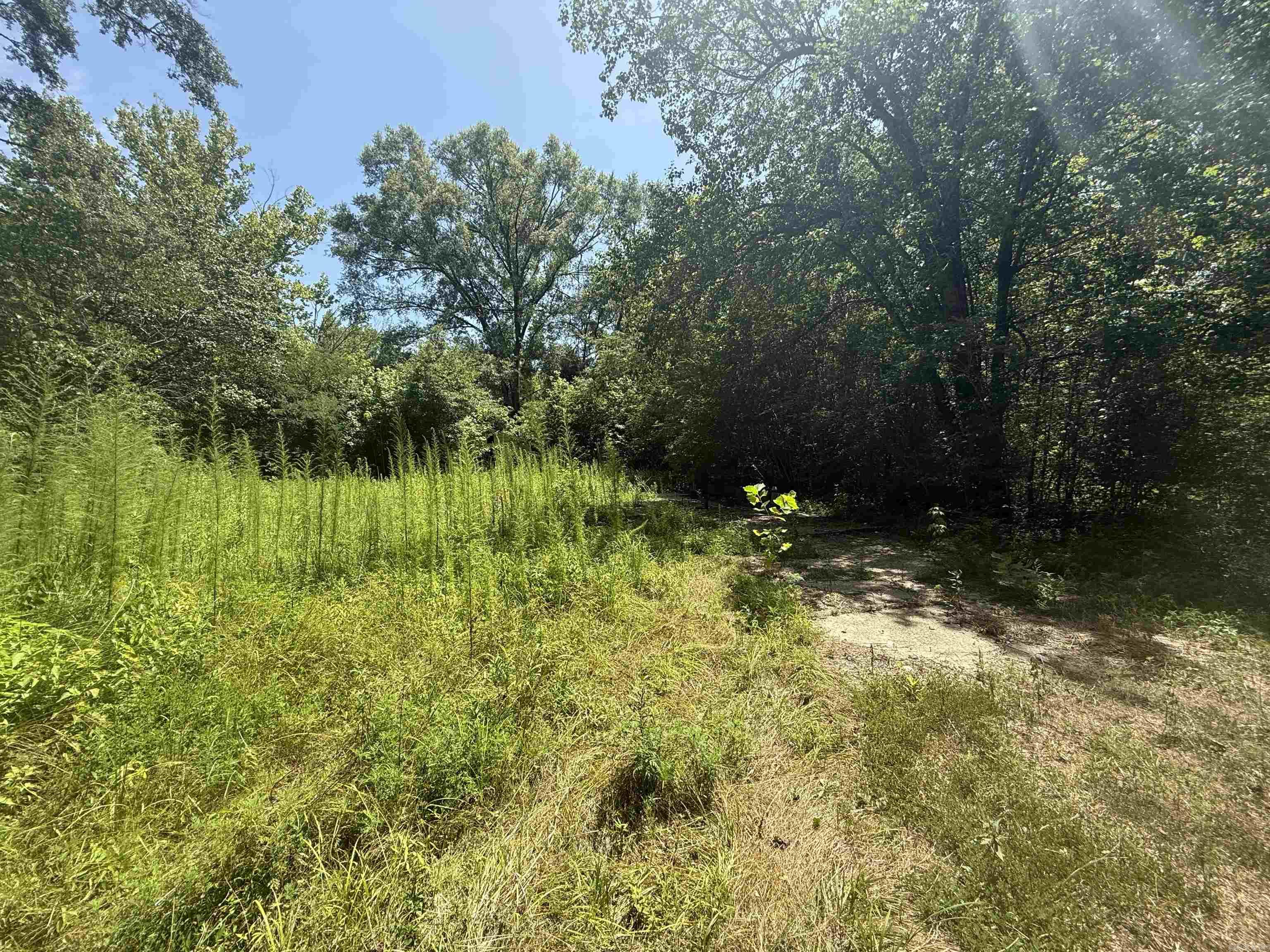 Avondale Heights - Land