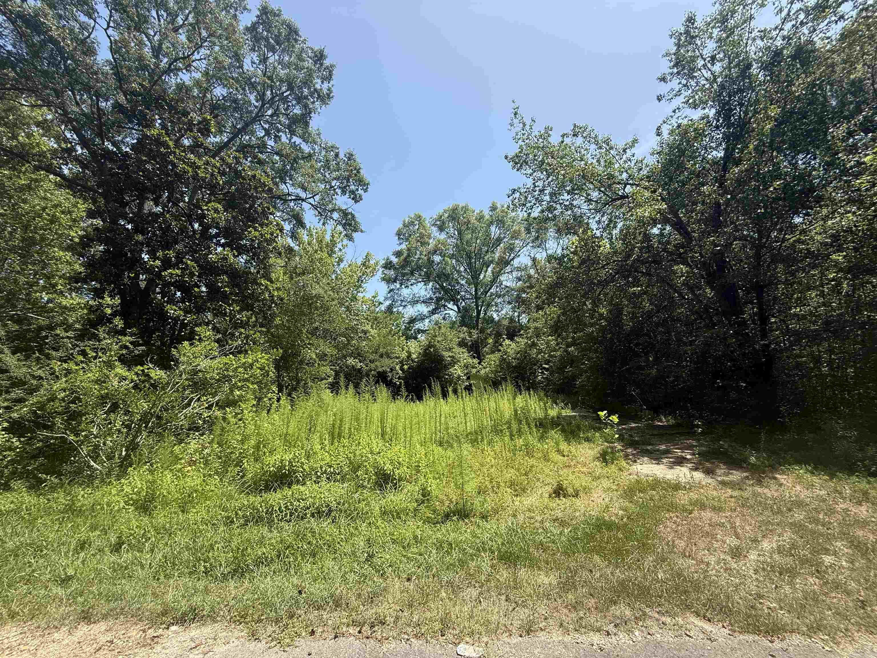 Don't miss your chance to own these 3 vacant lots located in the heart of Malvern. Whether you're looking to invest, build your future home, or add to your property portfolio, this lot offers potential in a well-established neighborhood. Conveniently situated near local amenities, schools, and shopping, this property provides easy access to everything Malvern has to offer. Utilites area available on the property Make your move today and explore the possibilities this parcel has to offer!