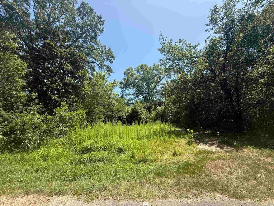 Don't miss your chance to own these 3 vacant lots located in the heart of Malvern. Whether you're looking to invest, build your future home, or add to your property portfolio, this lot offers potential in a well-established neighborhood.  Conveniently situated near local amenities, schools, and shopping, this property provides easy access to everything Malvern has to offer.   Utilites area available on the property  Make your move today and explore the possibilities this parcel has to offer!