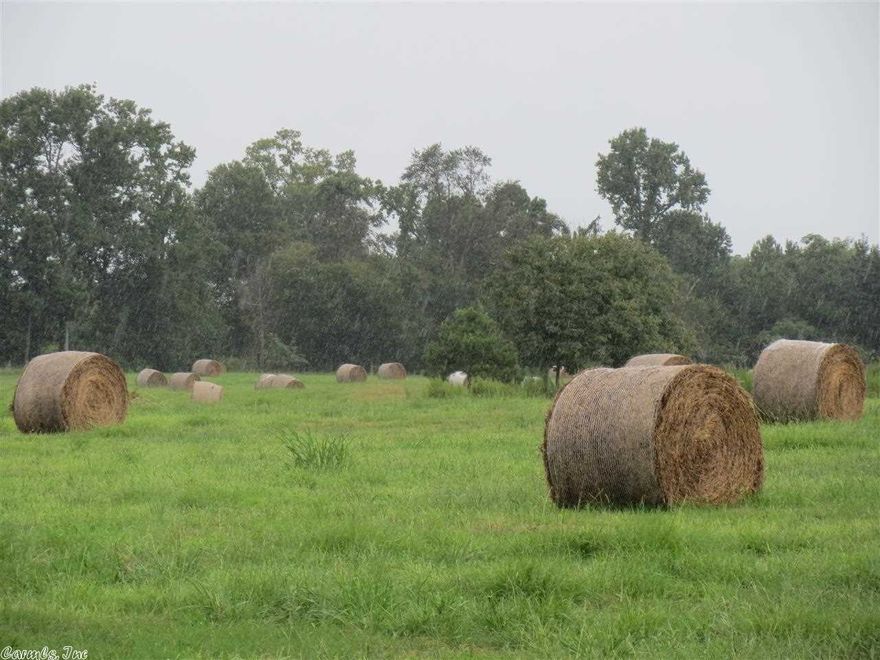 This is a well established farm that is completely fenced and cross fenced. The farm features two ponds, a large equipment barn hay shed combo, and a mobile that is currently being rented. This would make a great cattle farm or chicken farm.