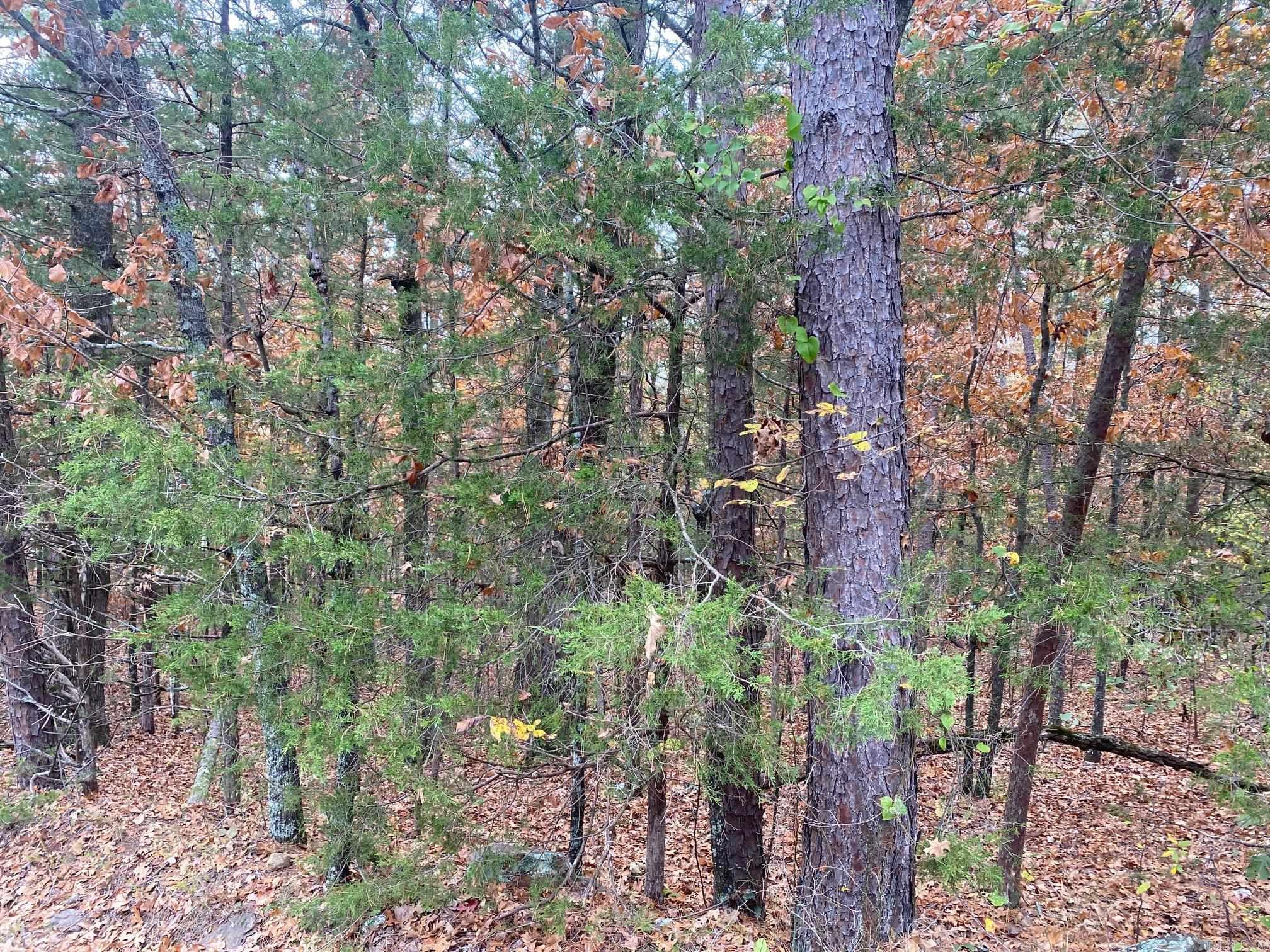 Mill Creek Estates - Land