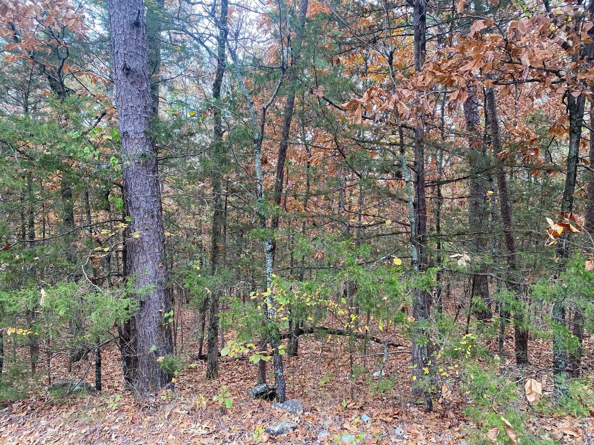 Mill Creek Estates - Land