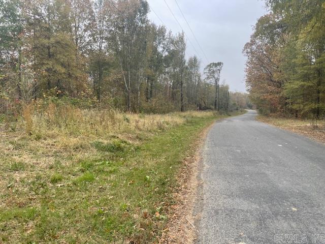 Great hunting in timber along Walters Chapel Rd. and intersection of N. Walters Chapel Rd. Wattensaw bayou runs right through the middle of it.