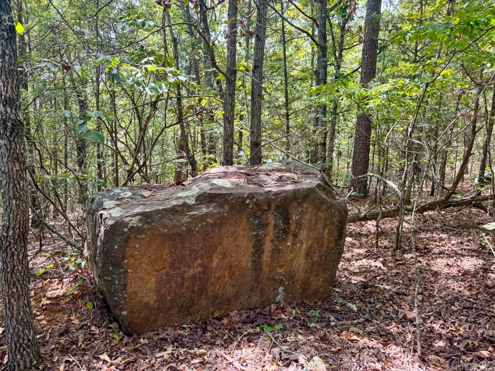 Metes & Bounds - Land