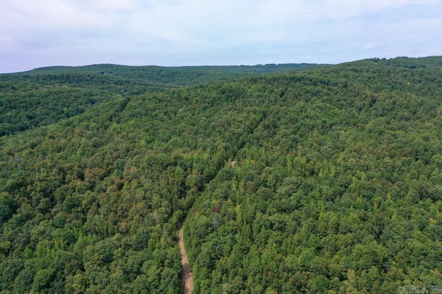 This expansive 75 +/- acre parcel offers endless possibilities, perfectly situated just 10 minutes from downtown Clinton, Arkansas. With prominent highway frontage, this property is easily accessible and provides great visibility, making it ideal for a variety of uses, from recreational to development. The terrain is a unique blend of gently sloped areas, flat lands, and benches, offering natural diversity and an abundance of character. At the top of the property, the potential for breathtaking views awaits with some clearing. Imagine panoramic vistas of the surrounding mountains and rolling hills - an ideal setting for a dream home, cabin, or hunting lodge. The land is well-suited for outdoor enthusiasts, offering exceptional hunting opportunities, thanks to its mix of wooded areas, natural cover, and varied elevations that create the perfect habitat for wildlife. Whether you’re looking to develop, hunt, or simply escape to a beautiful, serene space, this 75 +/- acre property offers the perfect balance of convenience and seclusion. The proximity to downtown Clinton ensures that you're never far from the amenities you need, while the peaceful seclusion of the land offers the ideal