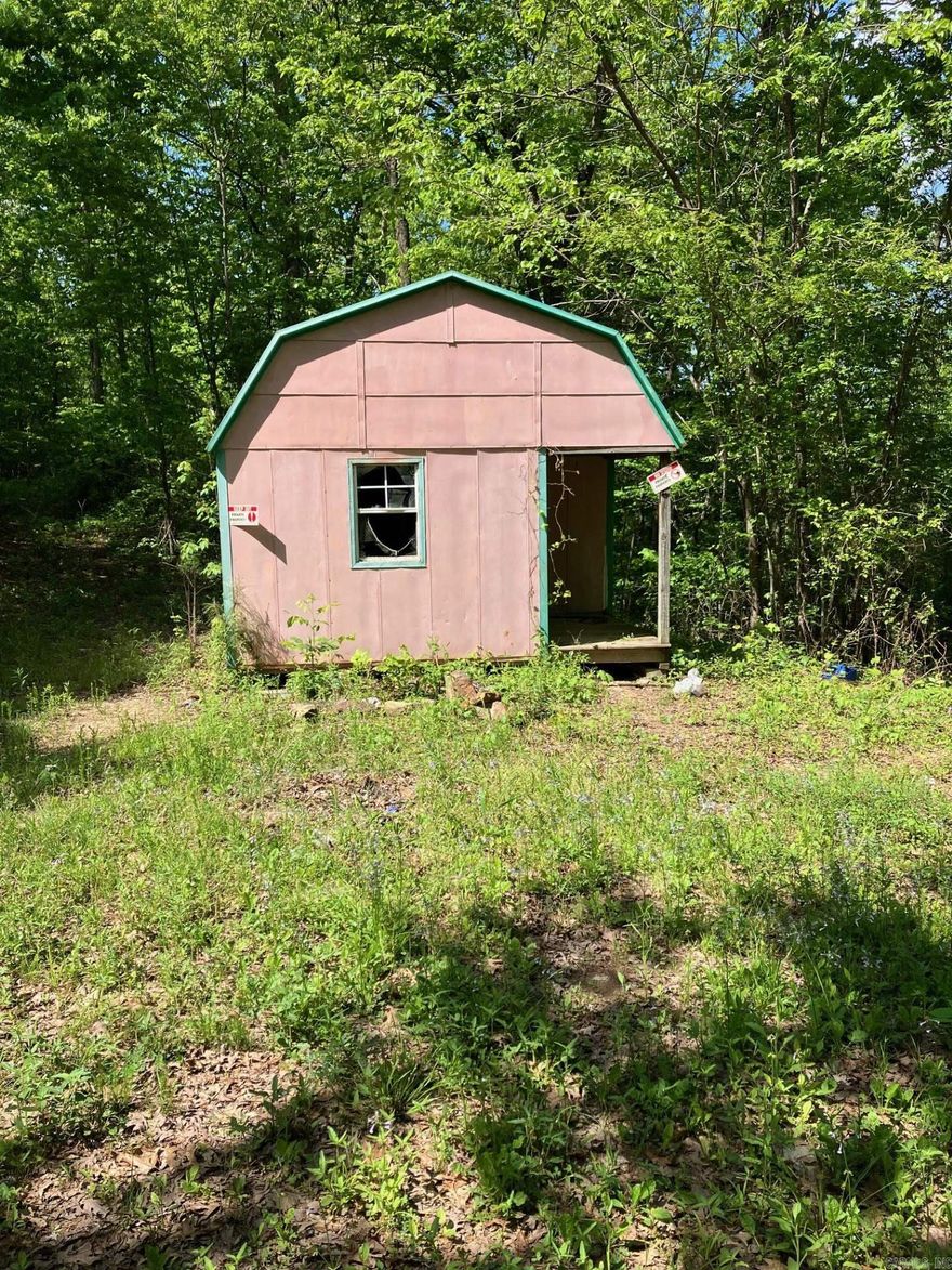 20 acres with a 248 sq. ft. building with metal siding, metal roof, and electricity available approximately 500 ft. away.  This would make a nice weekend camping for the family and some hunting.  Owner would consider some financing. No deeded easement.  Prescriptive easement. See all remarks.