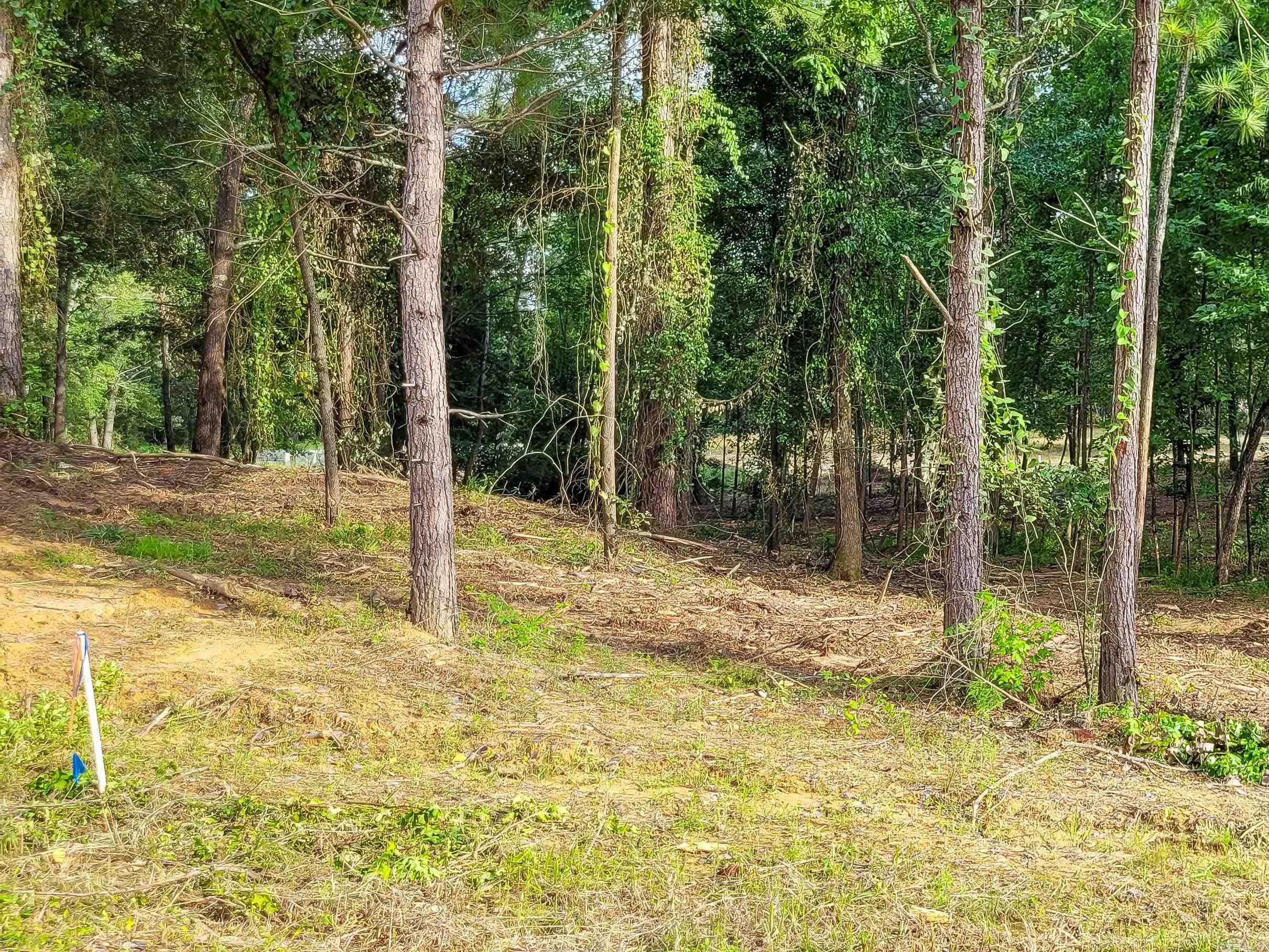 Coulter Estates - Land