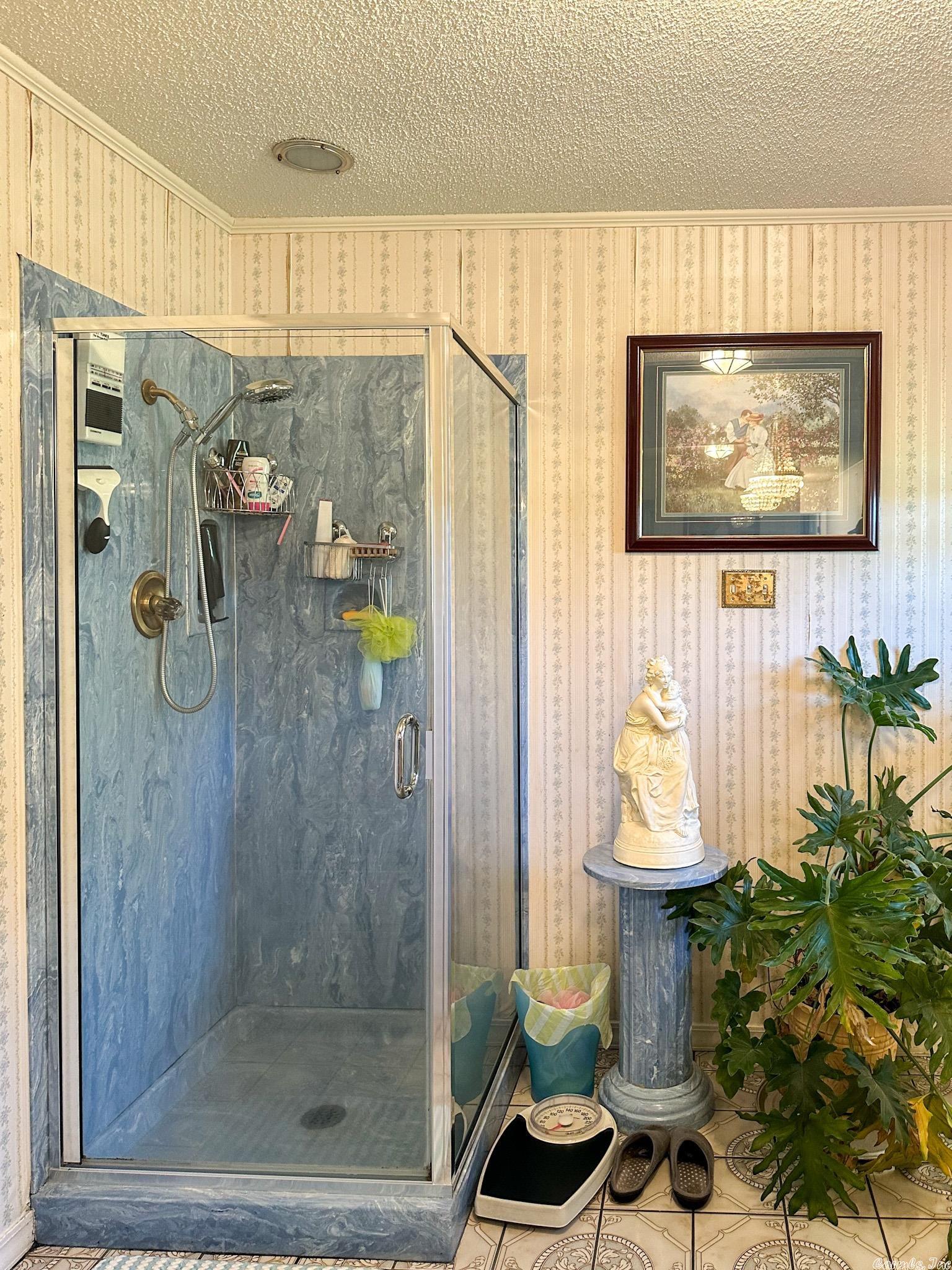 Judsonia Rural - Residential