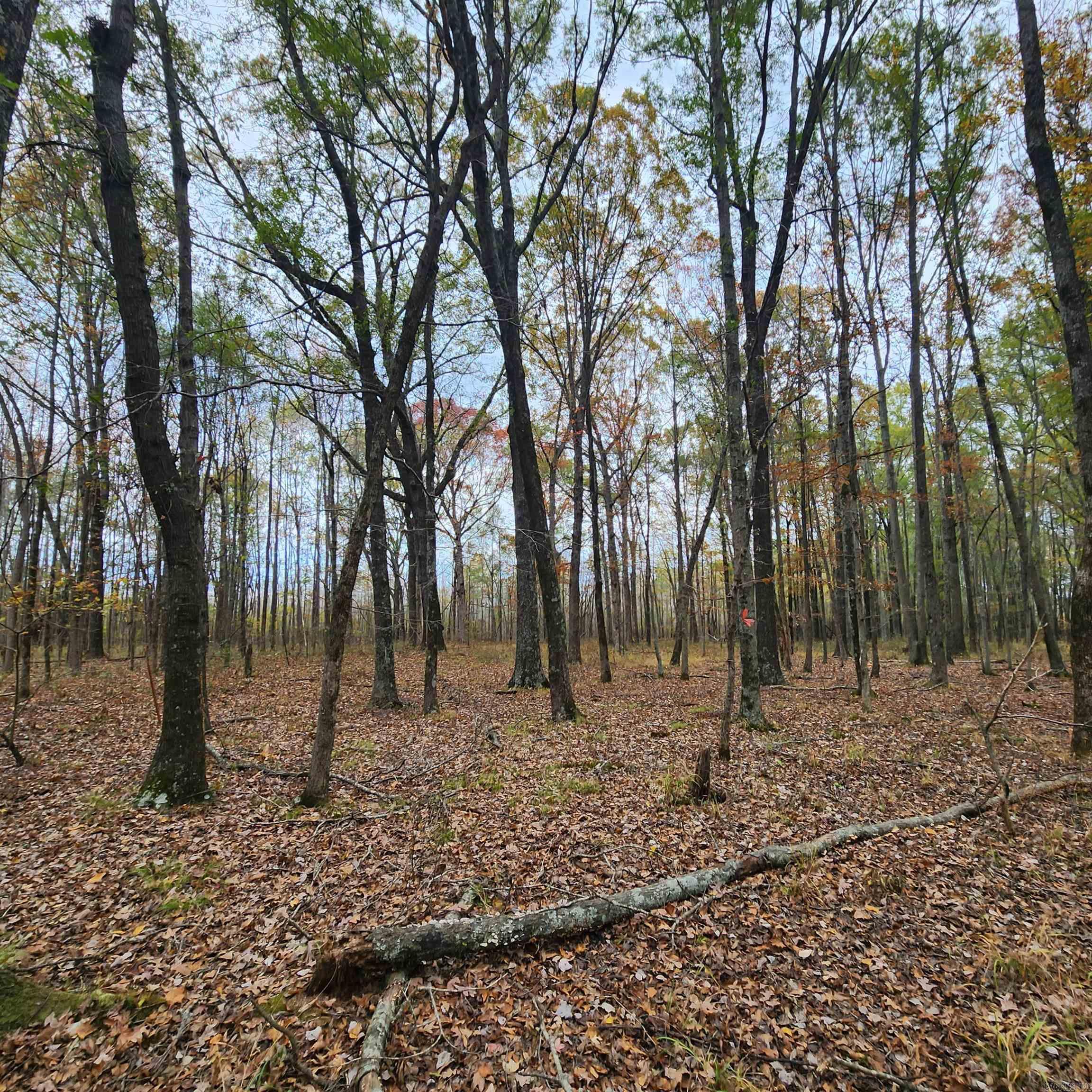 Higginson Outlots - Land