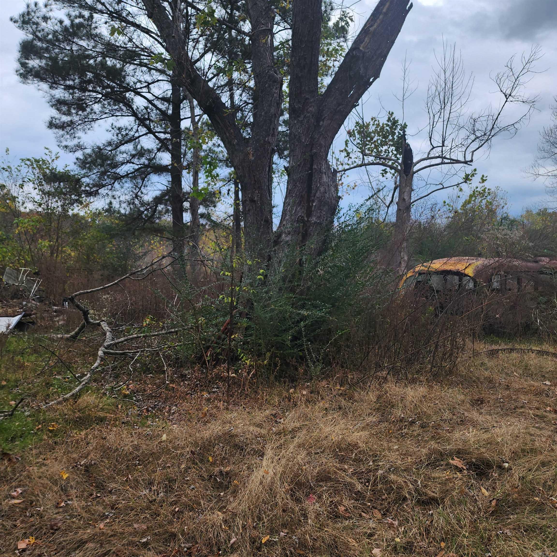 Higginson Outlots - Land