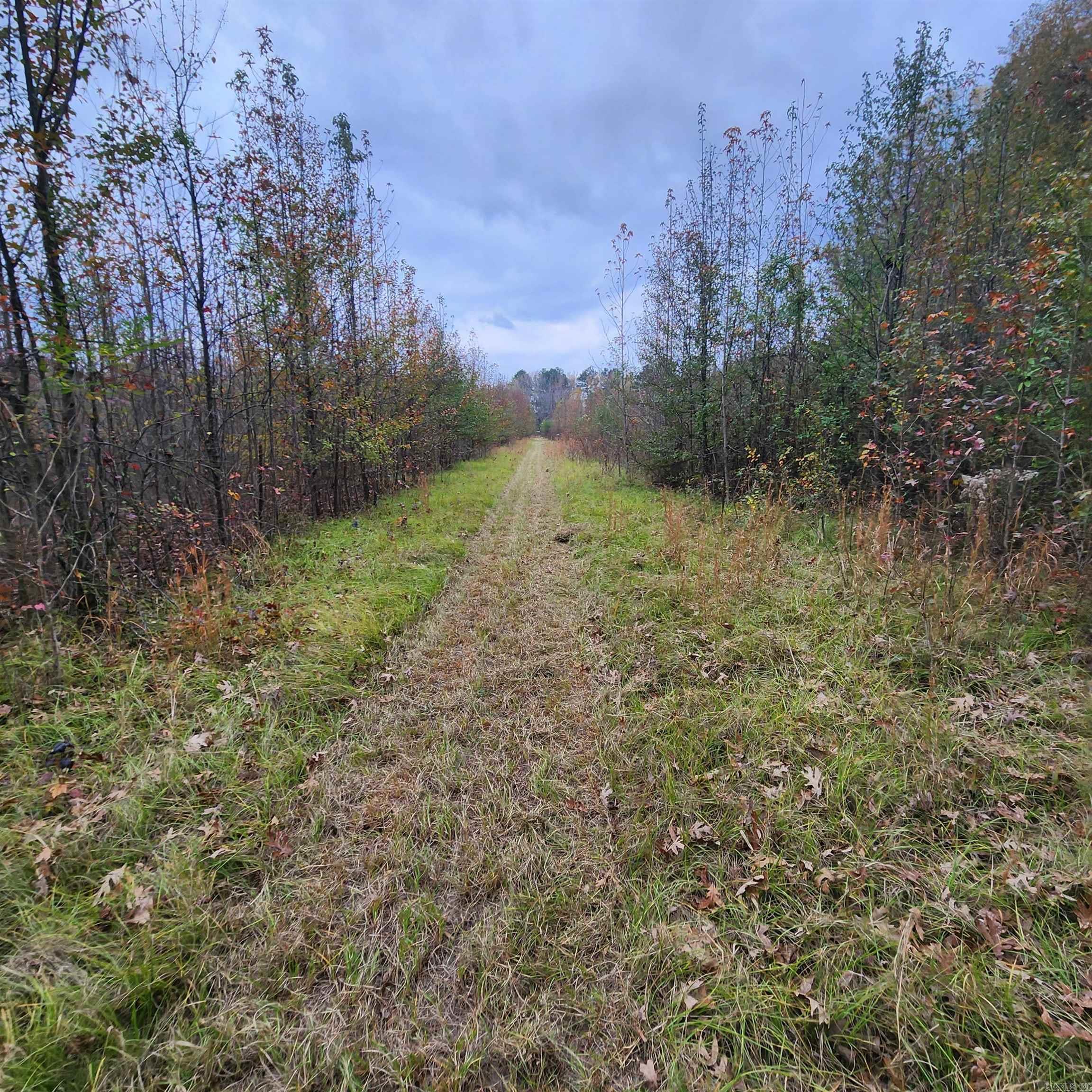 Higginson Outlots - Land