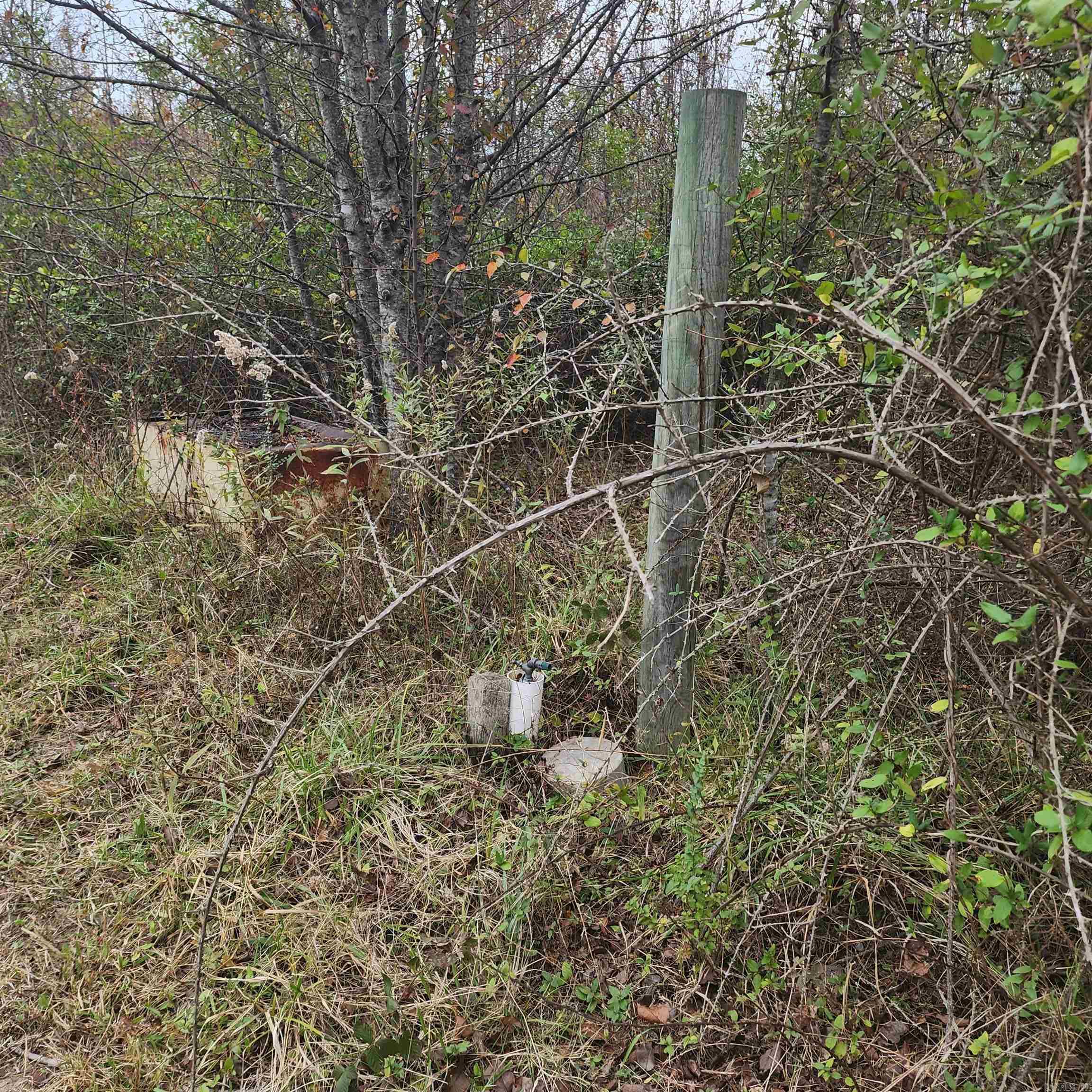 Higginson Outlots - Land