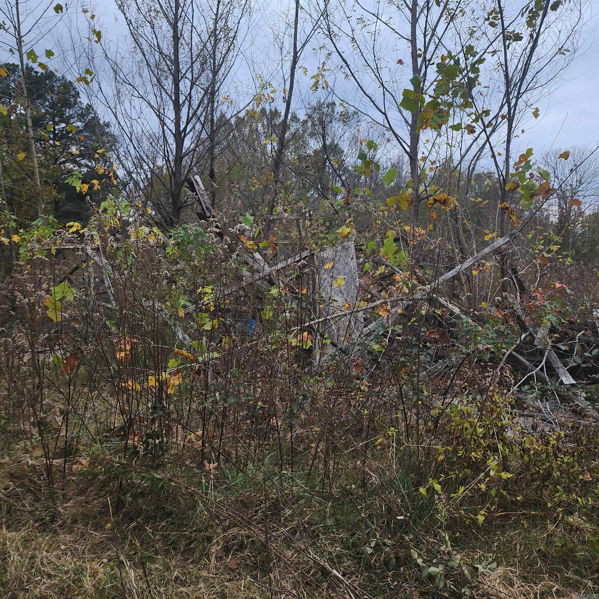 Higginson Outlots - Land