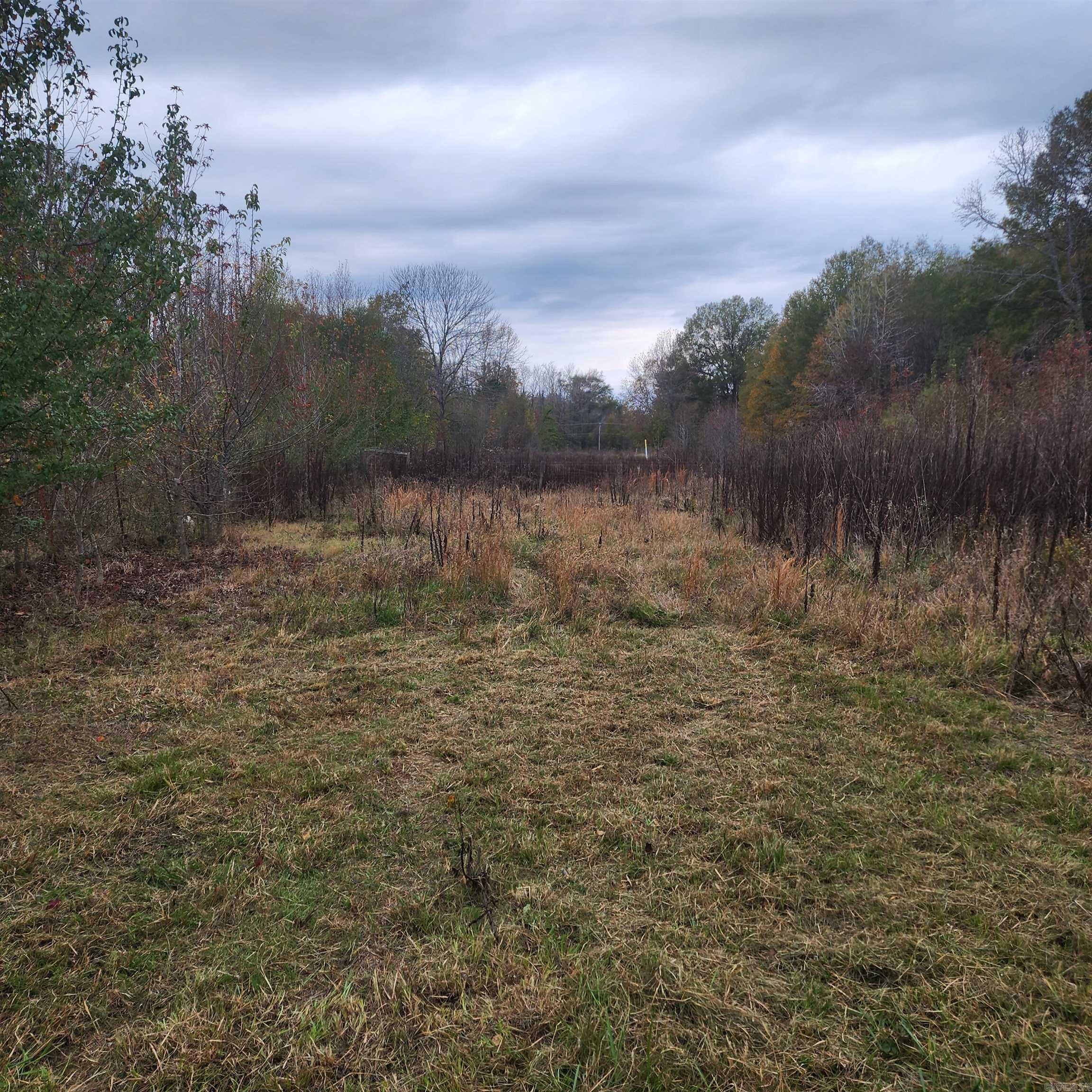 Higginson Outlots - Land