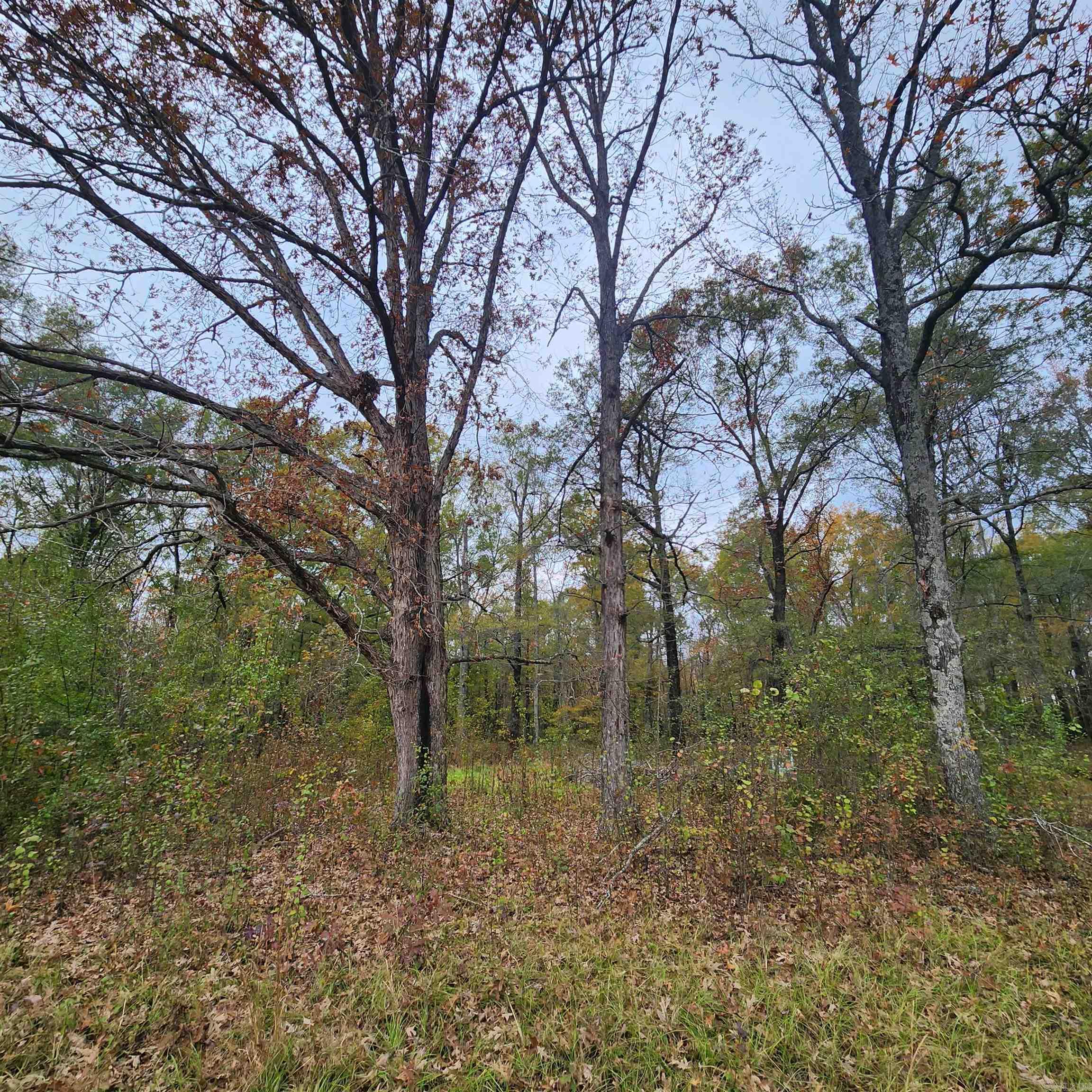 Higginson Outlots - Land