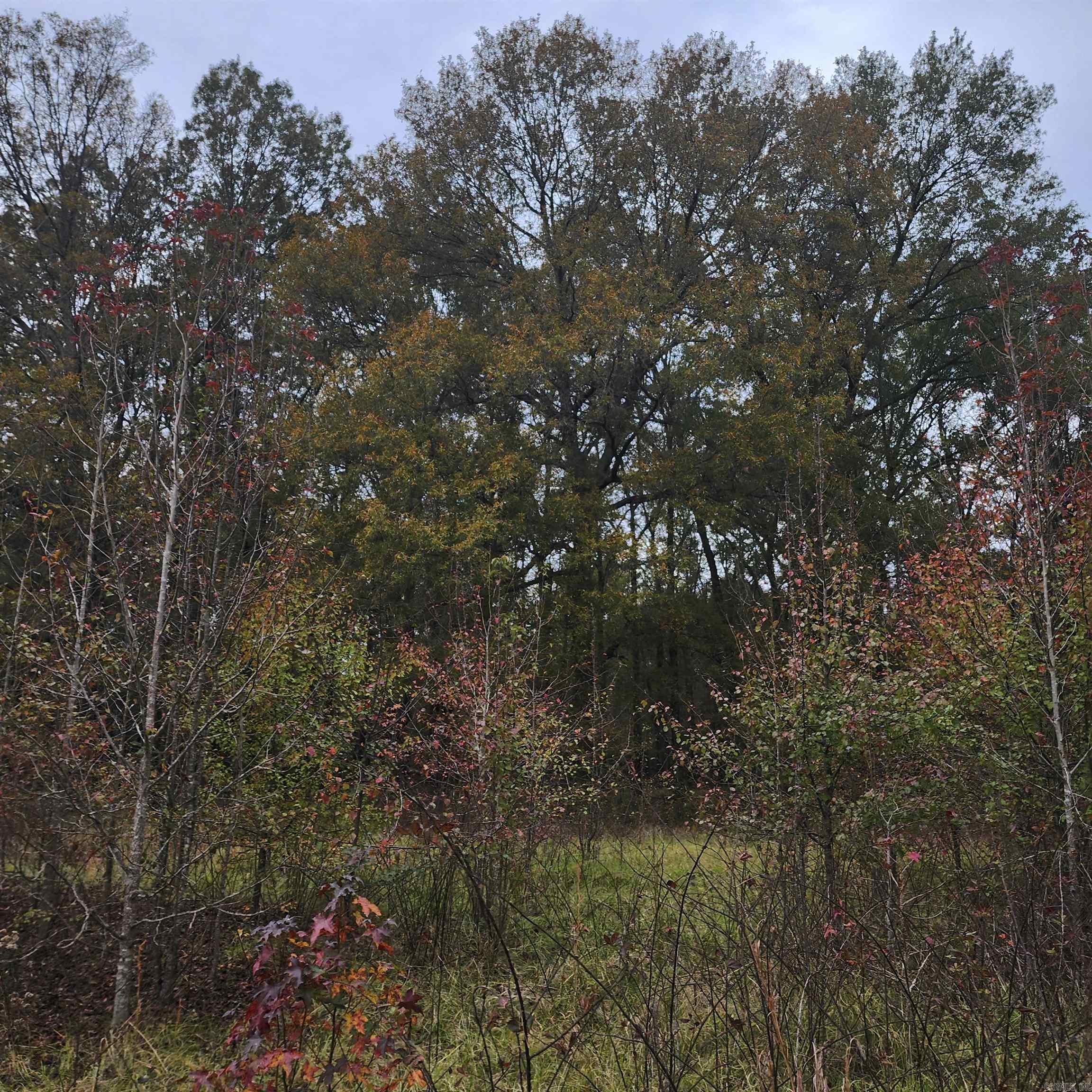 Higginson Outlots - Land