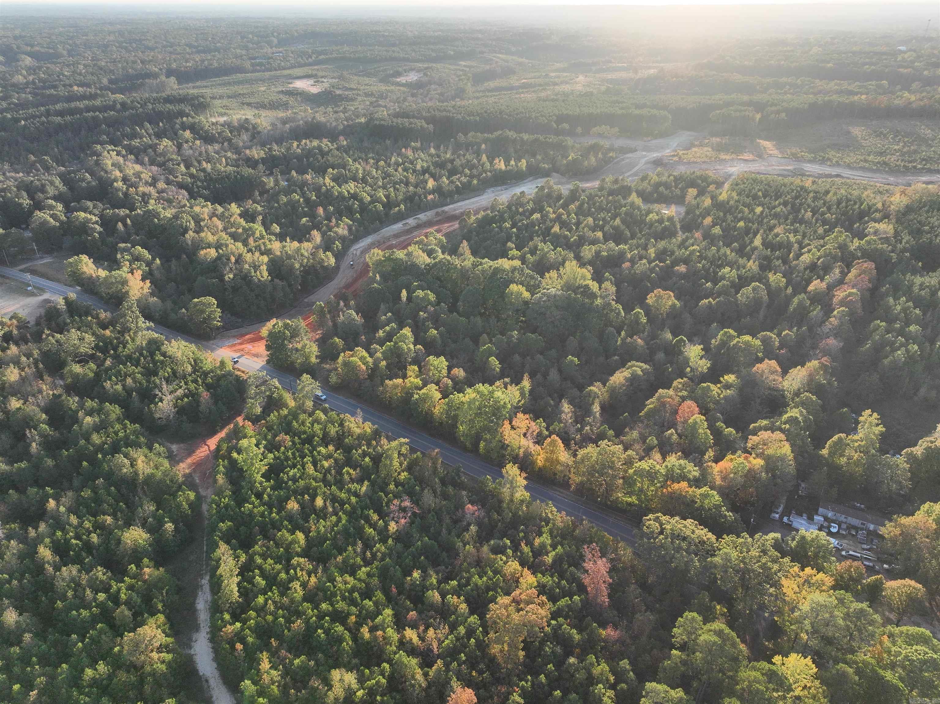 Mountain Pine - Land