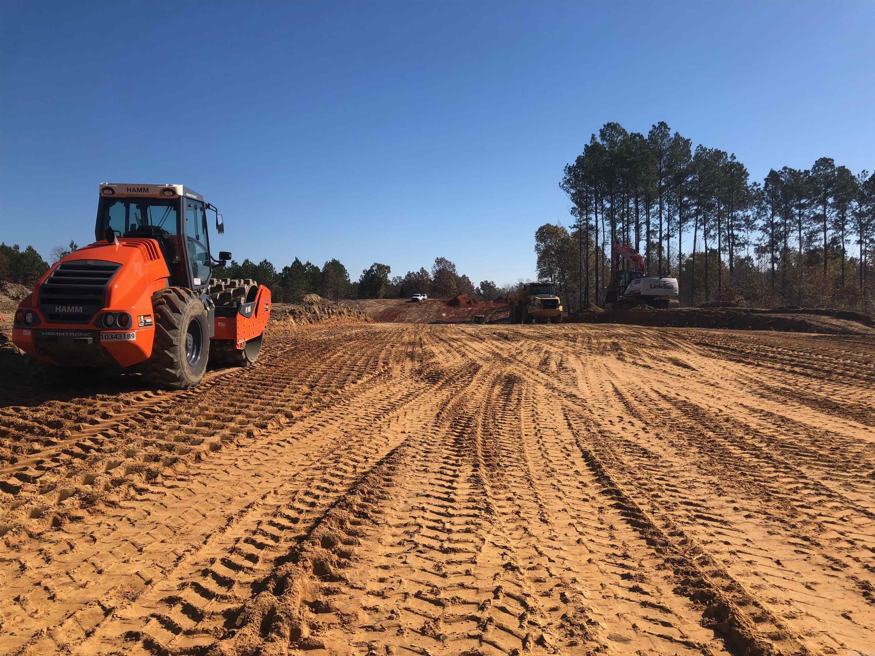 Mountain Pine - Land