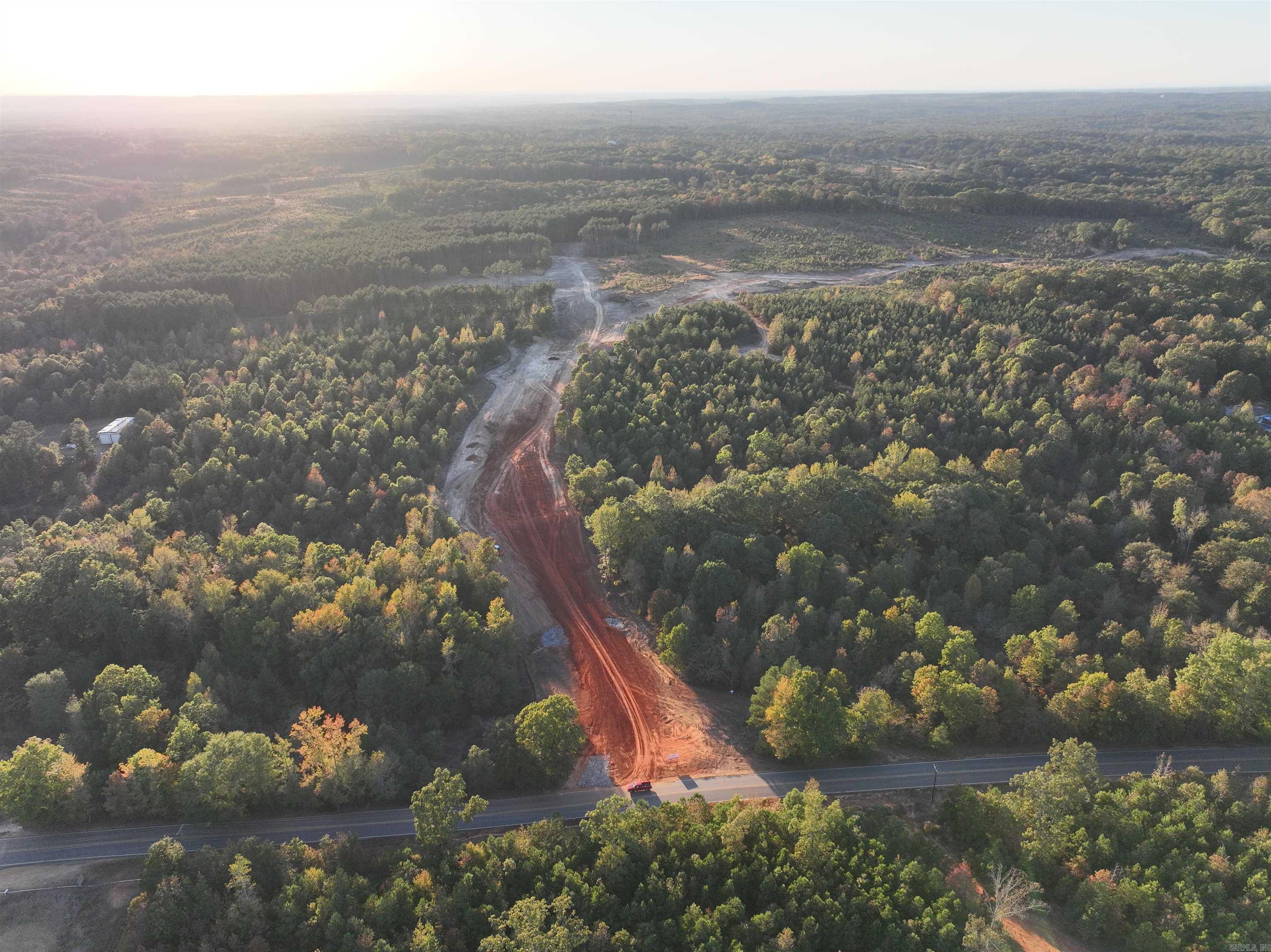 Mountain Pine - Land