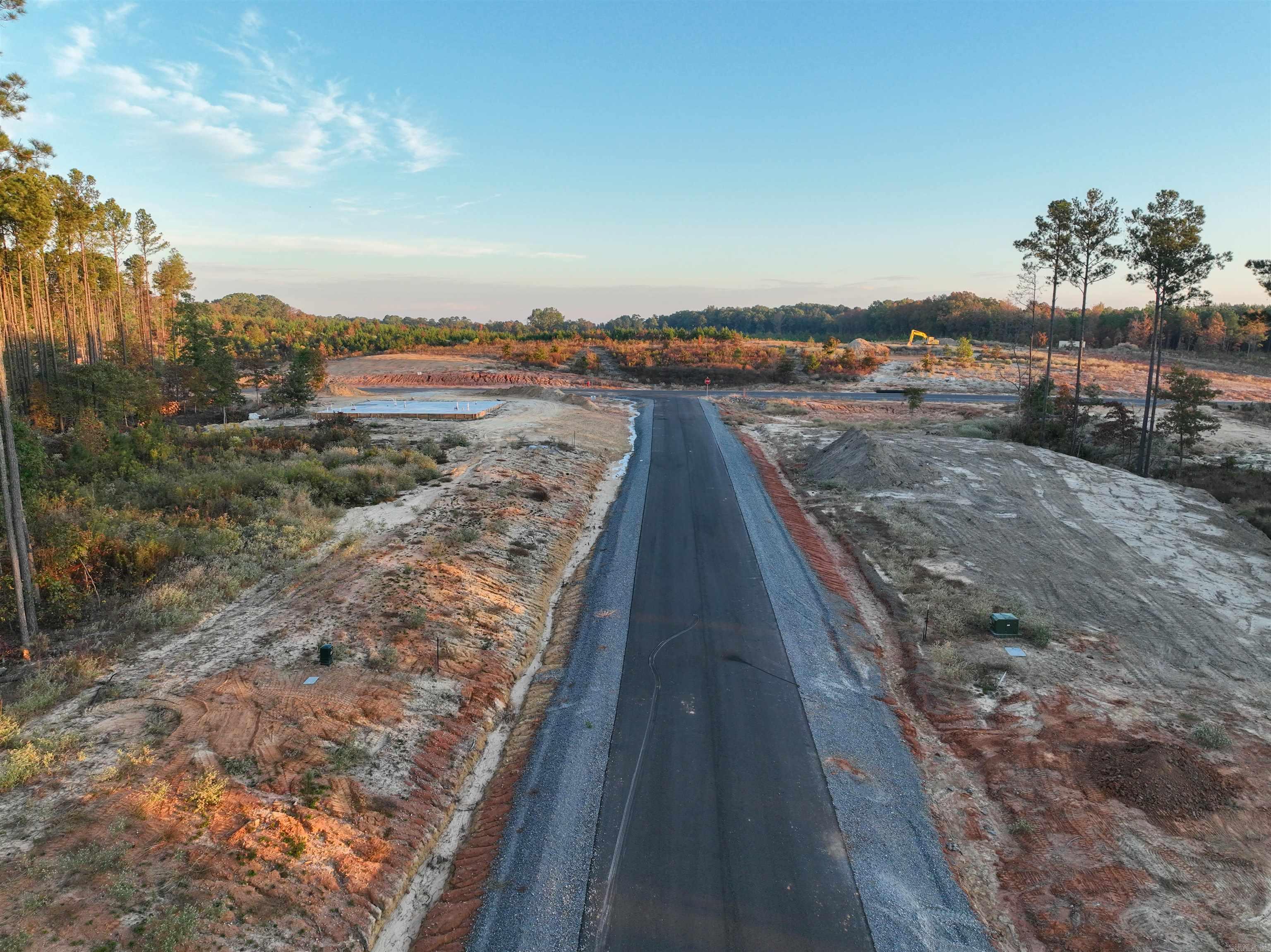 Mountain Pine - Land