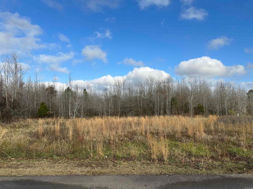 Lot sold before listed.