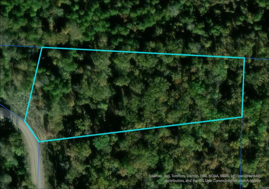 Quiet, peaceful, wooded setting with utilities available at the road, Anna Marie Drive is ready for you!  Make this gorgeous piece of Arkansas yours today! Note: Property is listed multiple ways, address is not the official address, just the lot number. *Lot lines are estimates and not survey accurate