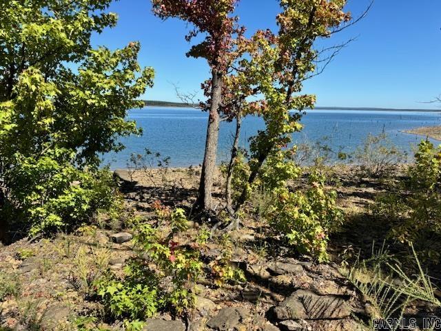 Diamond Bluff Lakefront - Land