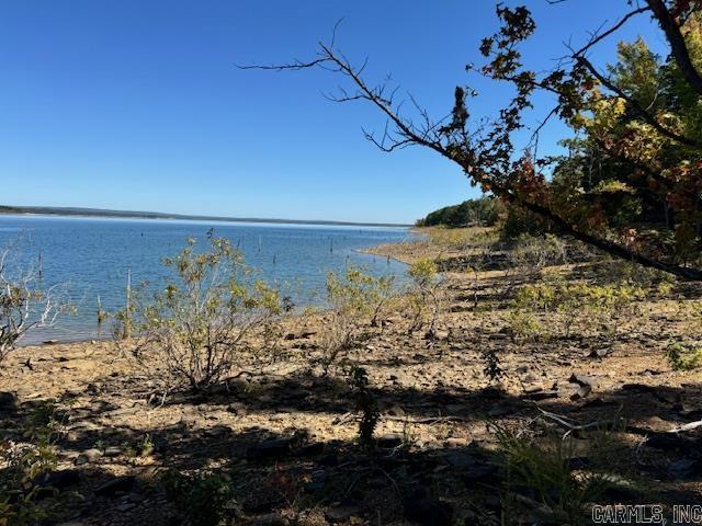 Diamond Bluff Lakefront - Land