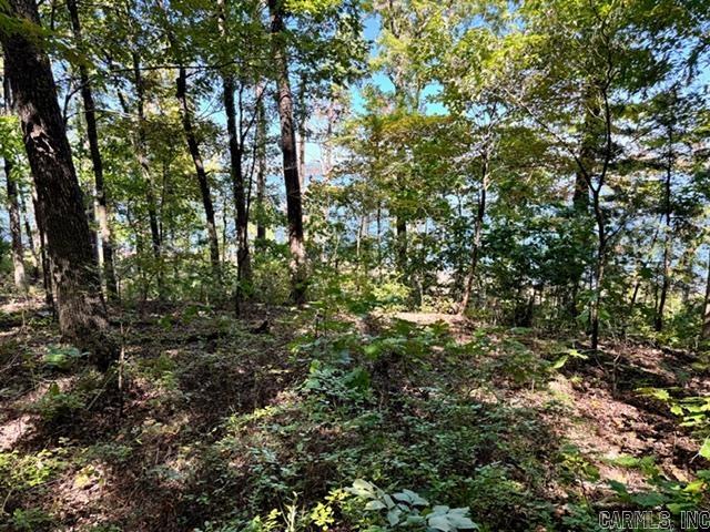 Diamond Bluff Lakefront - Land