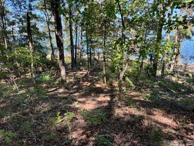 Diamond Bluff Lakefront - Land