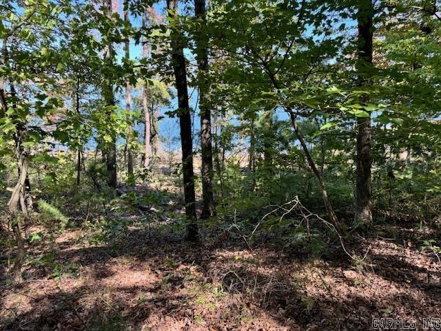 Diamond Bluff Lakefront - Land