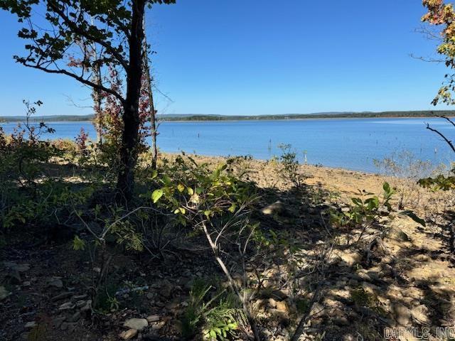 Diamond Bluff Lakefront - Land