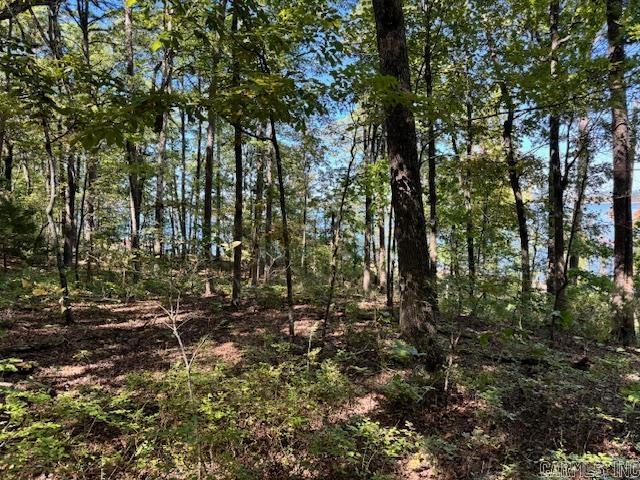 Diamond Bluff Lakefront - Land