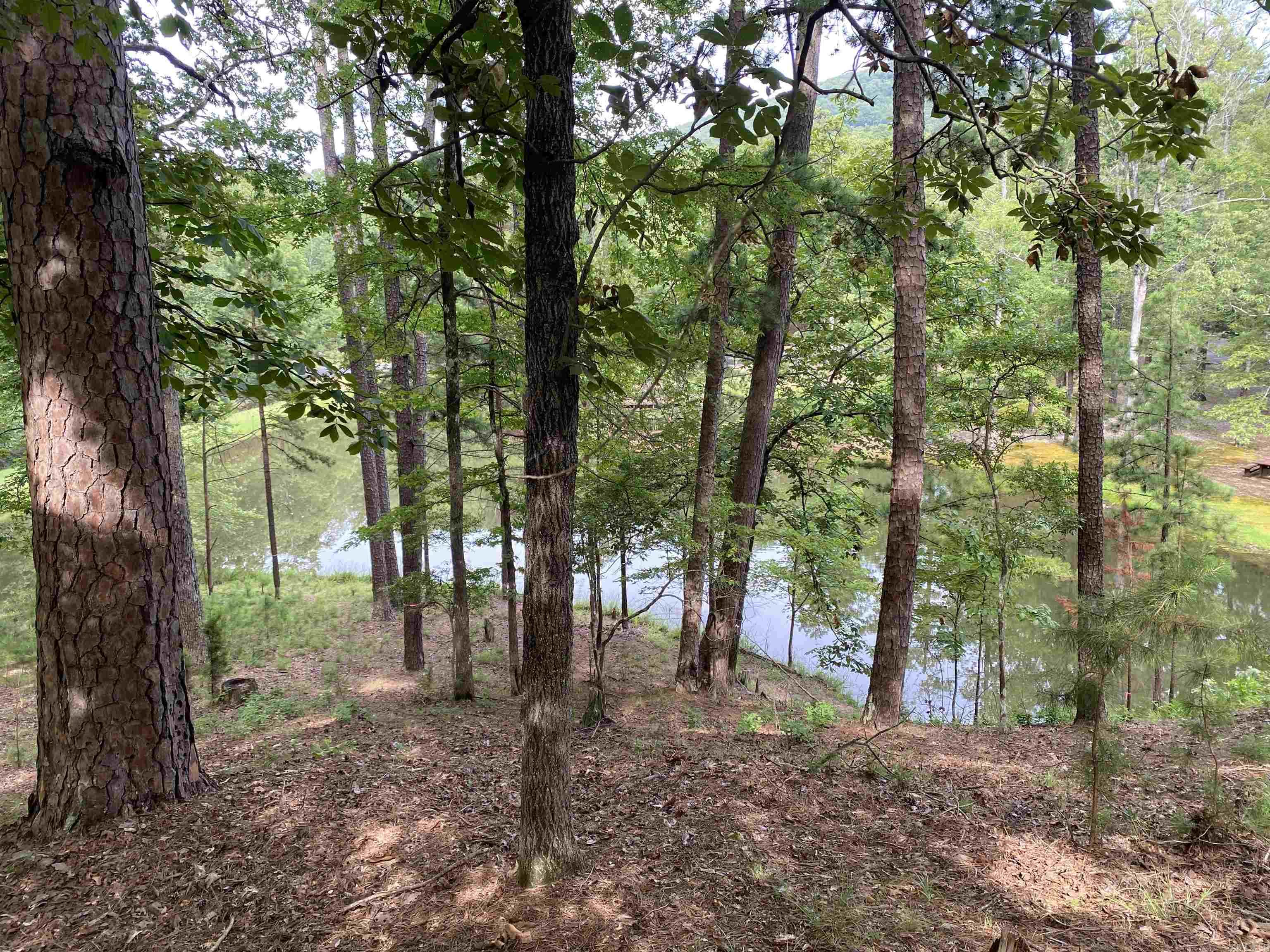 Hickory Nut Mountain Estates - Residential