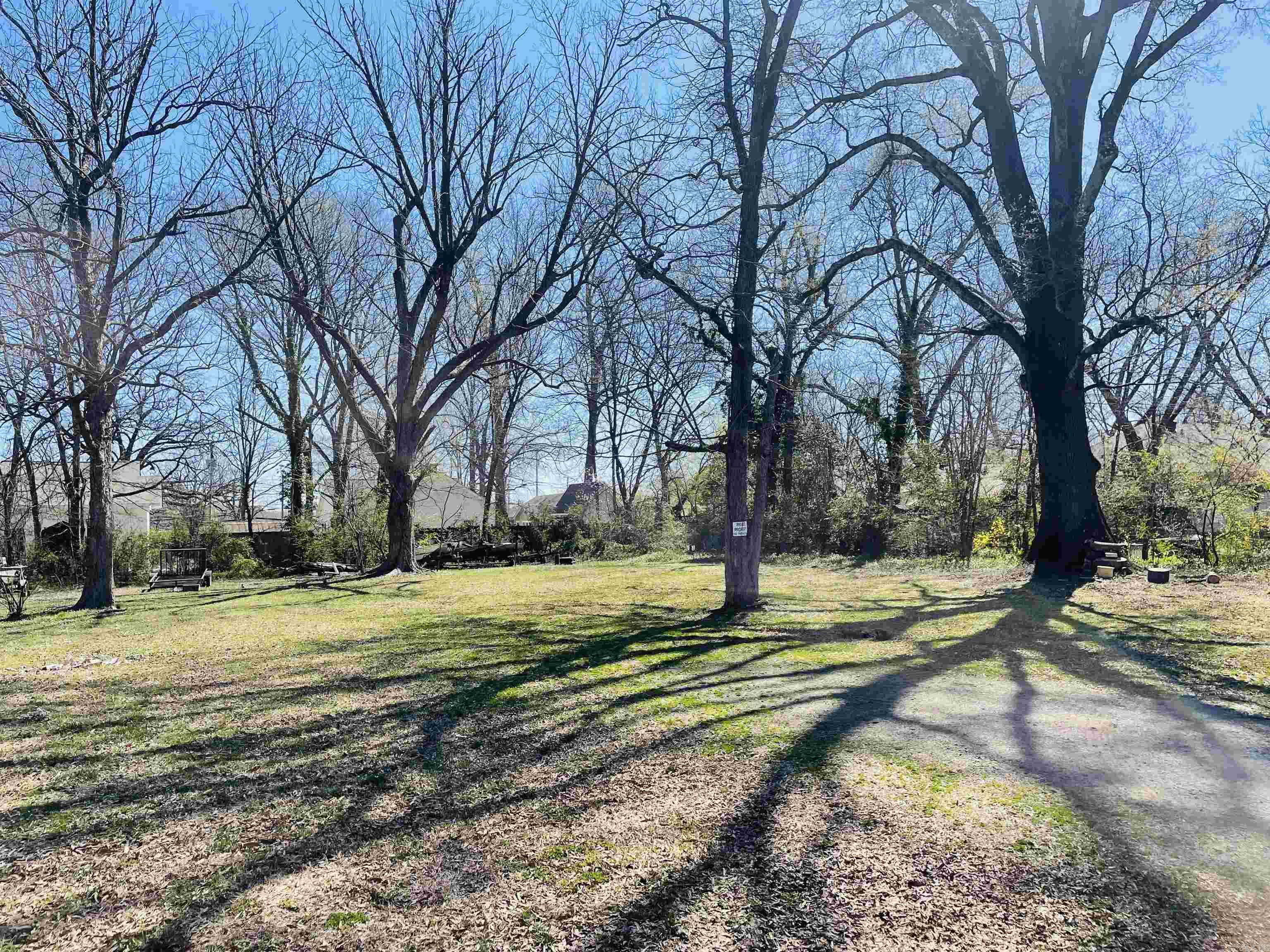 GREENE'S SUBDIVISION OF FIDDLE - Residential