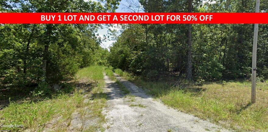 Buy one lot and get 50% off an additional lot! Owner-finance for easy terms. Cash buyers can pay by debit or credit card as well. Nice lot to develop or hold for future value. Public water and electric are available to run to property and will need septic. Owner/agent. No mobiles allowed. 300-2500 minimum build size on any other type of home, depending on subdivision. Finance is 5 months at $194 and closing costs are included. Lots marked with red banner are part of promotion. No limit on lots. Buyer responsible for any/all taxes and lots sold "as-is". Quit claim deed conveys. Parcel ID# 405-21472-000