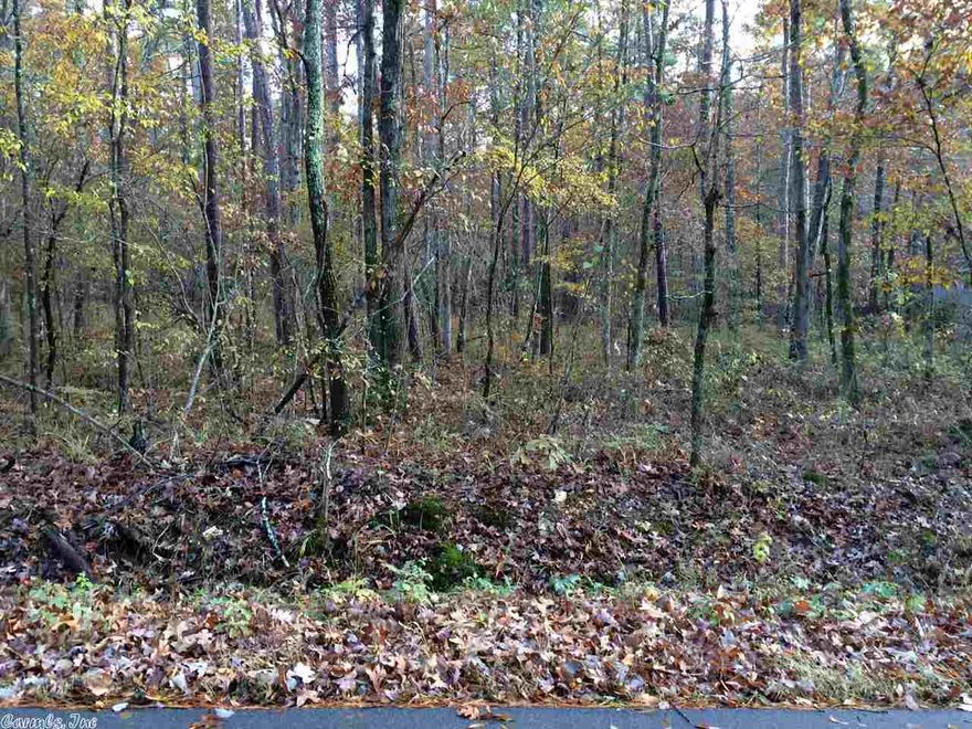 Wonderful level lot across street from Lake Coronado. Property across from lot is reserved POA property with a nature trail and right down the street is a public boat ramp.  So.....no one can build in front of you and you will have a "peek-a-boo" view of the lake in winter!