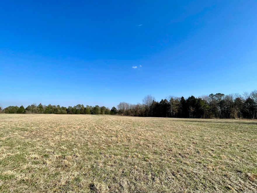 This property could be an opportunity for you, to go in the direction of your dreams! It's in a prime location for commercial use and in a growing area, located directly next to the New Family Dollar in Pleasant Plains!! Area has not been zoned as of this time and the property has been cleared and is ready for development and can be used however you like! Water and power available. Come see today, this property won't last long!