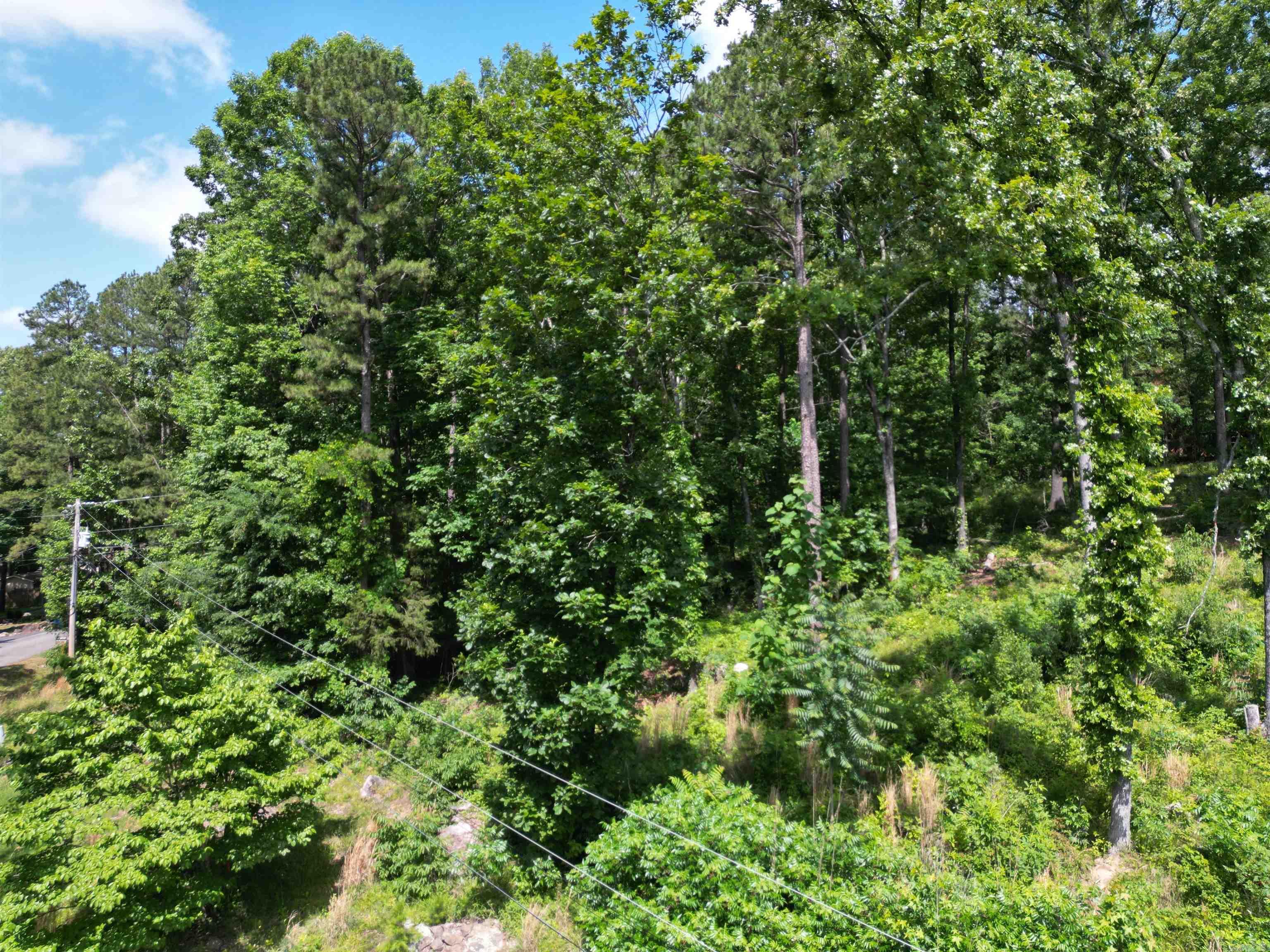 Scenic Hills - Land