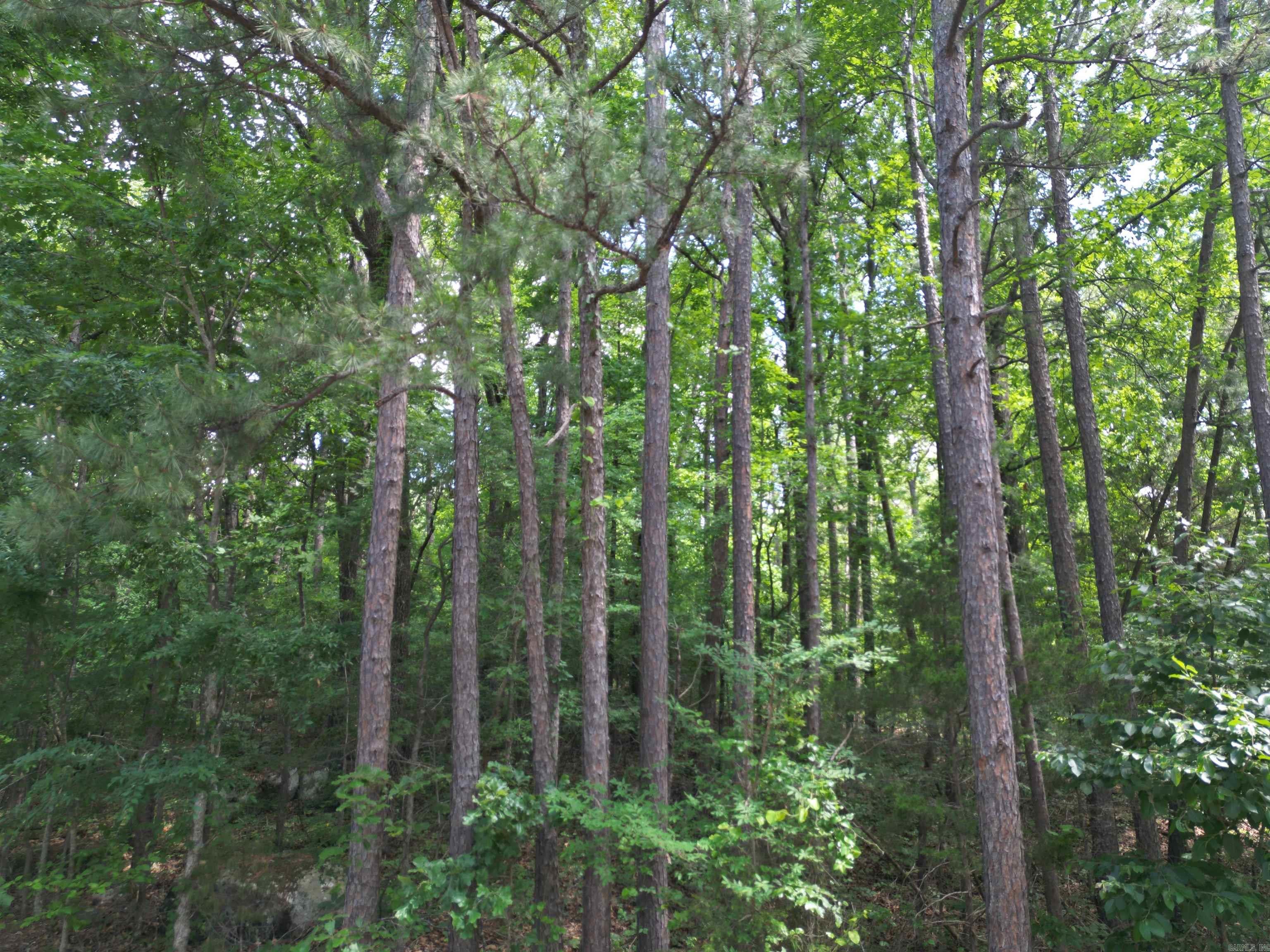 Scenic Hills - Land