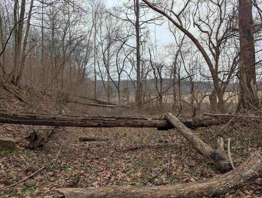 70 acres fronting on Hwy 412 West - 1.25 miles West of Osage AR from the Jct of 103 & Hwy 412, the 70 acres has a mixture of pasture and hardwood timber offering multiple cabin or home sites with distance views 2 ponds and a spring as well standing timber appraised for approximate $100,000 this makes a great investment as well. Call Today for additional information or to schedule an appointment to view the property.