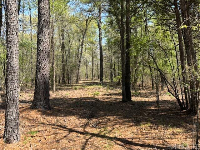 70 Acres of prime real estate in West Little Rock with access off of Raines Road. So much potential lies in this wooded tract. Numerous locations to build your own custom home, hunting cabin or to subdivide into parcels. The opportunities are many. Good deer and small game hunting is available as well. Call Mossy Oak Properties Executive Broker Jim Tribble to schedule a showing.